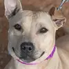 angi3 - @angiebbaylor - TikTok