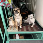 Angie Beard - @liams_mommy14 - Instagram