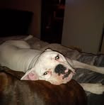 Angie Beard - Facebook