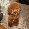 angieboyce167 - @angieboyce167 - TikTok