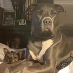 Angie S. Cason - @angiecason33 - Instagram