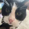 Angie - @angie.cave - TikTok
