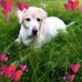 Angie Cherry - Facebook