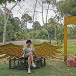Angie Chong - @chong.angie.750 - Instagram