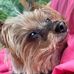 Angie Coe - Facebook