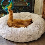 Angie Combs - @pumpkin_pie_love - Instagram