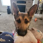 Angie Combs Miller - @angie.c.miller - Instagram