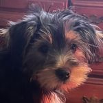 Angie Conley Hanson - @hansonangie - Instagram