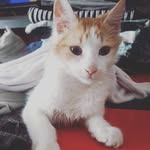 Angie - @angie_conti_ - Instagram