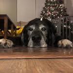angie.cote767 - @angie.cote767 - Instagram