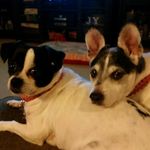 Angie Deaton - @chavez.ad - Instagram