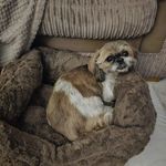 Angie Delaney - @dragon.124 - Instagram