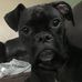 Angie Ervin - Facebook