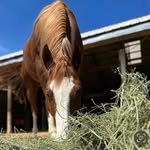 Angie Farmer - @farmerangie - Instagram
