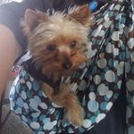 Angie Ferrell - @ferrell_angie - Instagram