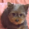 angieferrell470 - @angieferrell470 - TikTok