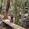 Angie Field - @angie.field - TikTok