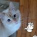 Angie Floyd - Facebook