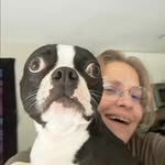 Angie - @angiefoxpetcare - Instagram