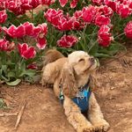 Angie Frame - @aframemom - Instagram