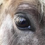 Angie Gallo - @awesomeadvertising - Instagram