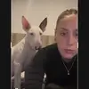 Angie Gallo - @__angiegallo - TikTok
