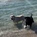 Angie Graham - Facebook