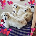 Angie Grech - Facebook