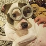 Angie Henson - @angie.gresham.3 - Instagram