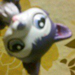 .lps.hailey.angie.nichole - @lps.hailey.angie.nichole - Instagram