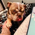 Angie Haley - @angiehaley545 - Instagram