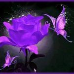 Angie Hebert - @butterflyeffect77__ - Instagram
