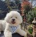 Angie Herring - Facebook