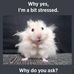 Angie Herring - Facebook