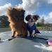 Angie Horner - Facebook