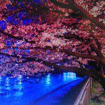 Angie Hubert - @sweepn1 - Instagram