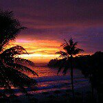 angie_ison - @angielinaison - Instagram
