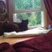 Angela Knapp - Facebook