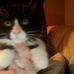 Angie Lanning - Facebook
