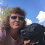 Angie Larson - @angie_larson - Instagram