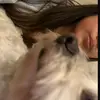 Angie Lin - @a.angie_lin08 - TikTok