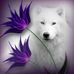 Angie Loving - Facebook