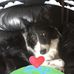 Angie Mccabe - Facebook