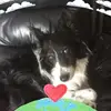 Angie Mccabe - @user467503528 - TikTok