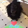 angiemccabewhite - @angiemccabewhite - TikTok