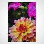 Angie McGee - A.Marie - @empty_spiral4 - Instagram
