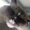Angie Moser - @angie.moser2 - TikTok
