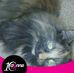 Angie Munson - Facebook