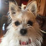 Angie Nance - @angienance9 - Instagram