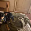 Angie Nitz - @angienitz20mail.com - TikTok